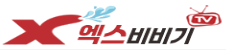 엑스비비기